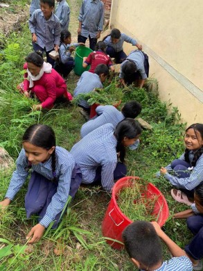 तिनाउकाे कालिका विद्यालयका  विद्यार्थी वातावरण समूहद्वारा सरसफाइ